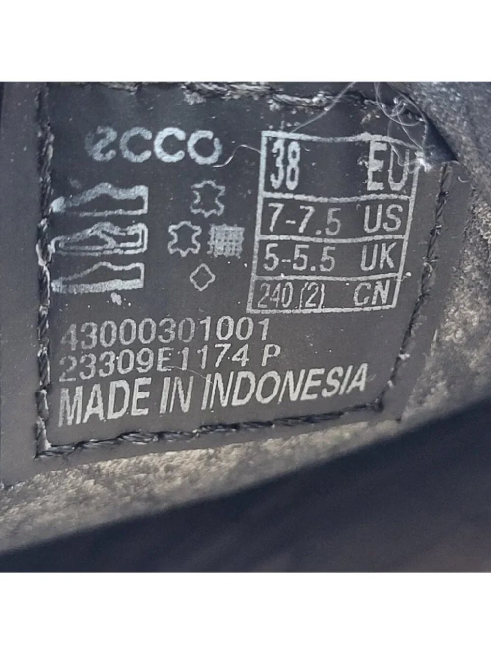 Ecco thanks looking